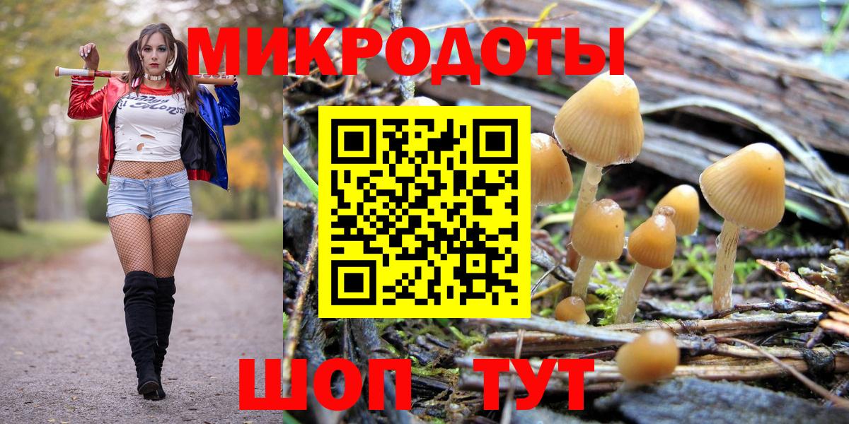 Галлюциногенные грибы GOLDEN TEACHER  Вход с VPN  Тейково 